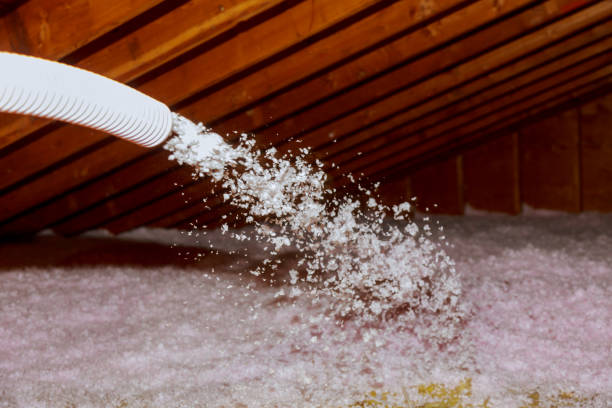Best Cellulose Insulation  in Mehlville, MO
