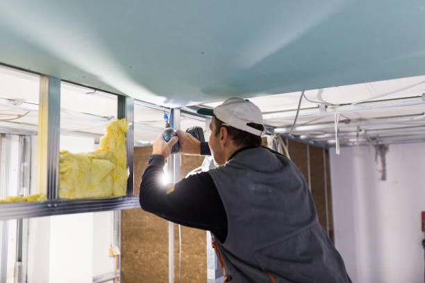 Best Energy-efficient Insulation  in Mehlville, MO