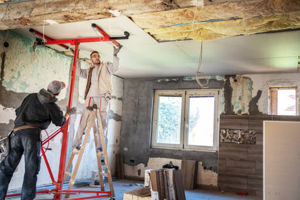 Best Attic Insulation Near Me  in Mehlville, MO