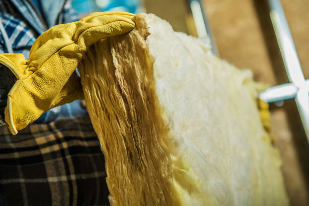 Best Affordable Insulation Services  in Mehlville, MO