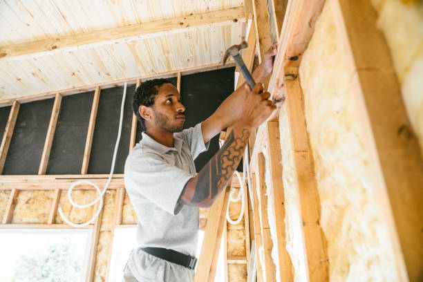 Best Wall Insulation Contractor  in Mehlville, MO