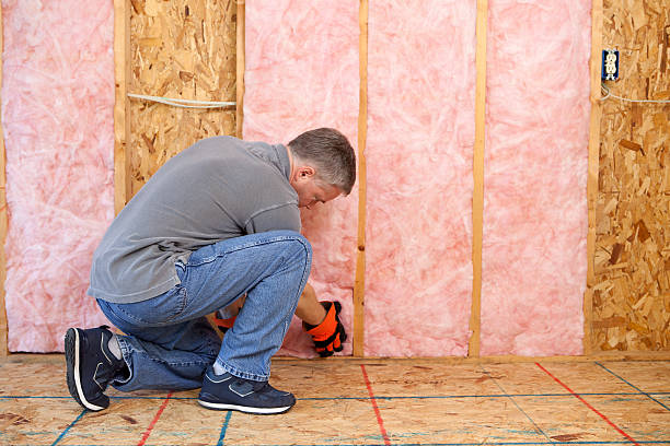 Best Wall Insulation Contractor  in Mehlville, MO