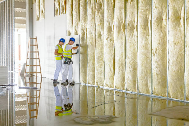 Best Local Insulation Services  in Mehlville, MO